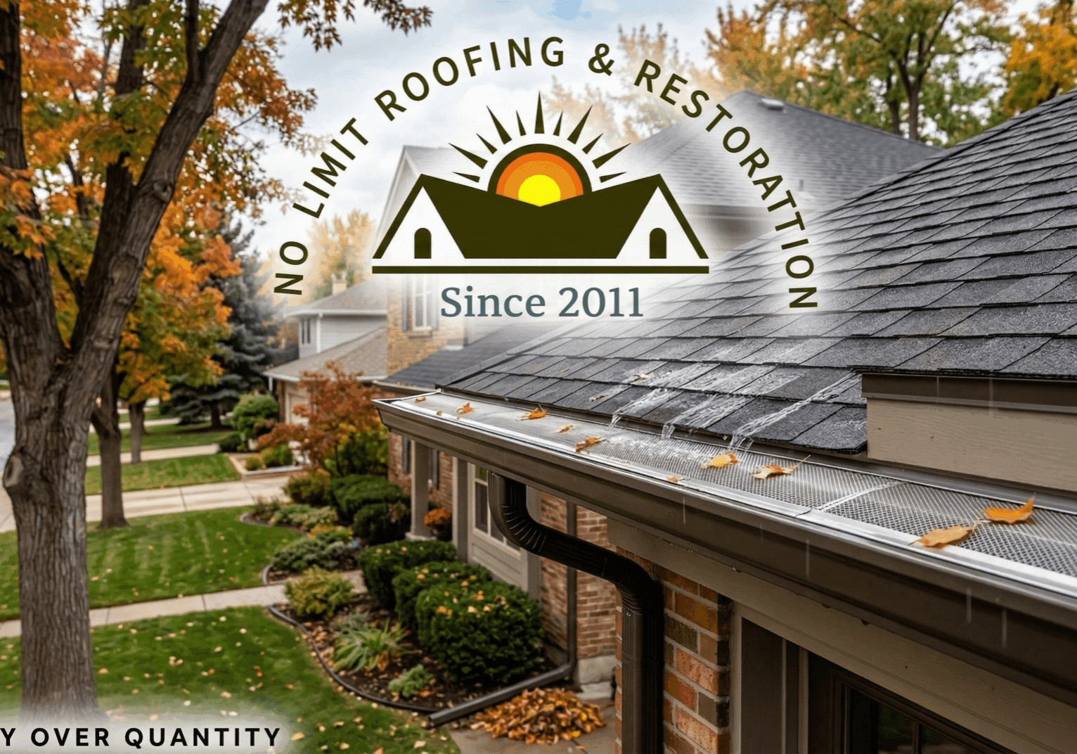 Gutter Guards Denver for Tree-Heavy Neighborhoods